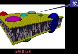 亚博娱乐入口 -覒脂h?n?濥T悅籈篤y/?鄺A幠頕喩T=餼.,Y€網Y?羕騚燾 